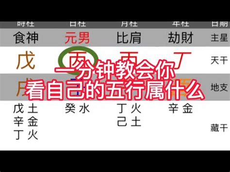 如何看五行屬性|五行屬性解惑秘笈，教你輕鬆辨別你的命理本色